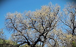 photo thumbnail #15
