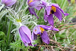 photo thumbnail #14