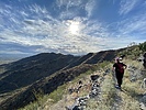 photo thumbnail #2