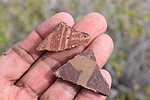photo thumbnail #11