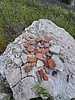 photo thumbnail #13