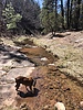 photo thumbnail #5
