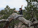 photo thumbnail #8
