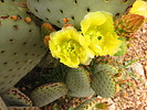 photo thumbnail #3