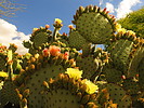 photo thumbnail #9