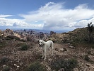 photo thumbnail #8