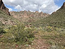 photo thumbnail #14