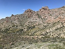 photo thumbnail #5