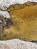 2020-04-11 :1: Cedar Basin loop :: ShatteredArm
