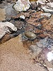2020-04-11 :1: Cedar Basin loop :: ShatteredArm