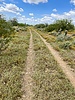 photo thumbnail #5