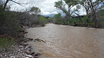 photo thumbnail #12