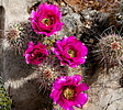 photo thumbnail #3