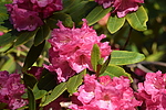 photo thumbnail #14