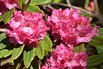 photo thumbnail #15