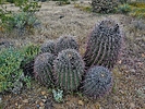 photo thumbnail #10