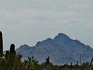 photo thumbnail #13