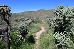 photo thumbnail #1