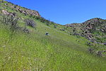 photo thumbnail #10