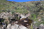 photo thumbnail #11