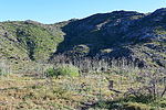 photo thumbnail #14