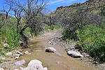 2020-04-04 :1: JF Trail to Coffee Flat Loop :: kyleGChiker