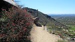 photo thumbnail #9