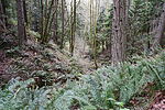 photo thumbnail #6