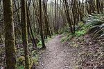 photo thumbnail #1