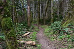 photo thumbnail #7