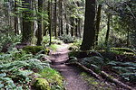 photo thumbnail #12