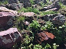 photo thumbnail #1