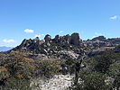 recent photo
