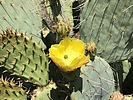 photo thumbnail #11
