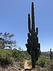 photo thumbnail #12
