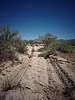 photo thumbnail #4