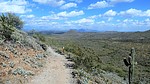 photo thumbnail #7