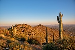 photo thumbnail #12