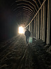 photo thumbnail #12