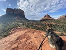 photo thumbnail #3