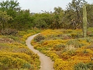 2020-04-18 :3: Surrey Hills-Menk Trail Loop :: LosDosSloFolks