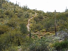 photo thumbnail #13