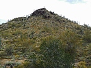 photo thumbnail #14
