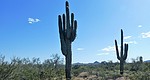 photo thumbnail #12