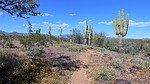 photo thumbnail #7