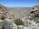 photo thumbnail #4