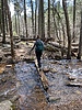photo thumbnail #7