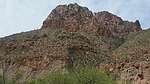 recent photo