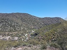 photo thumbnail #5