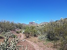 photo thumbnail #1